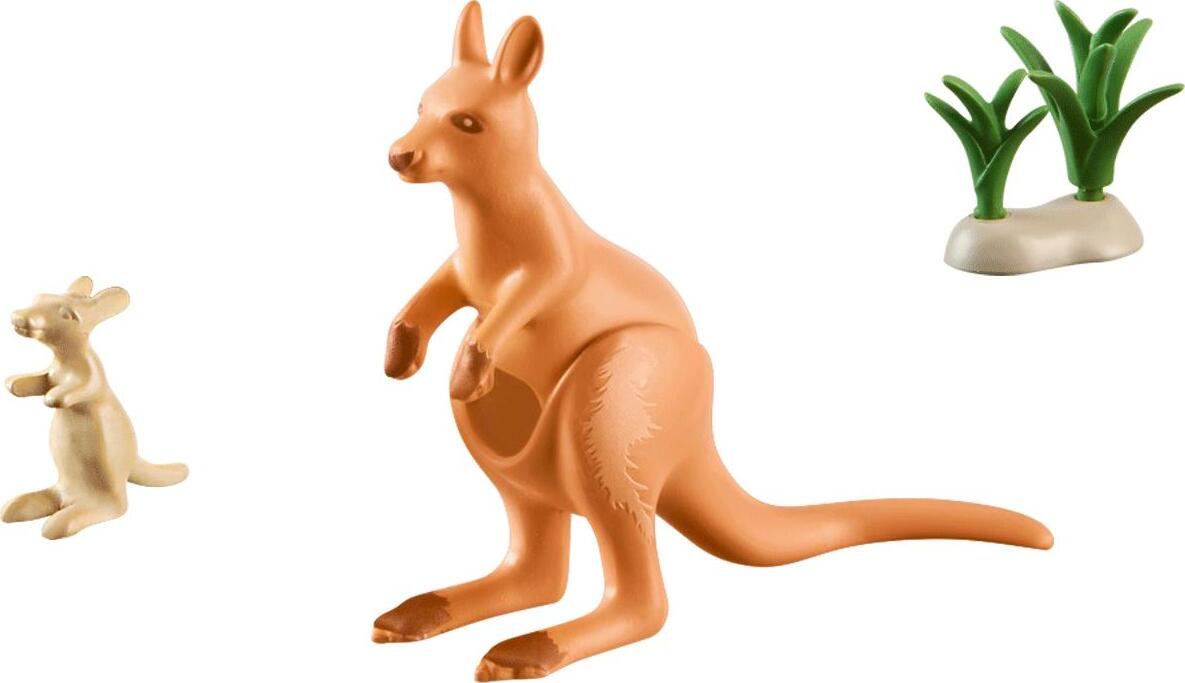 Kangaroo with Joey