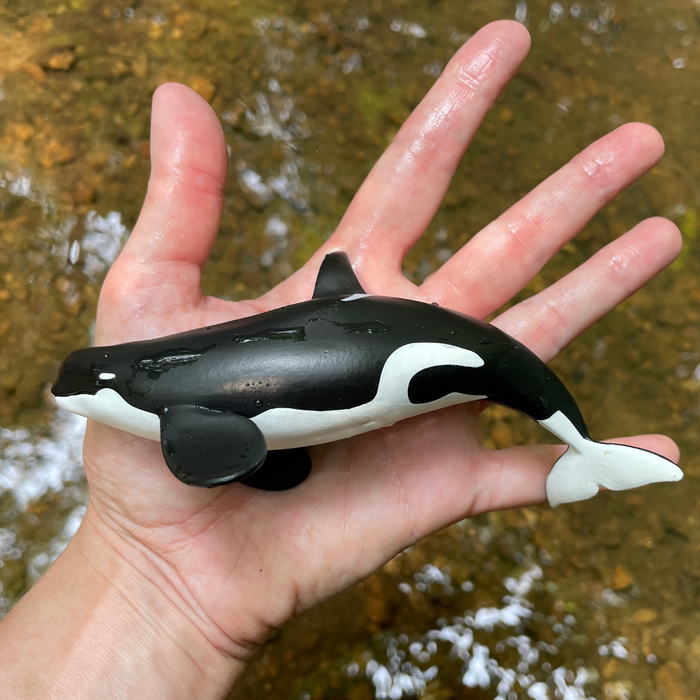 Type D Orca
