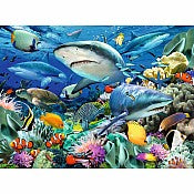 Shark Reef - 100 XXL