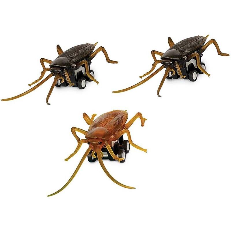 Racing Roaches