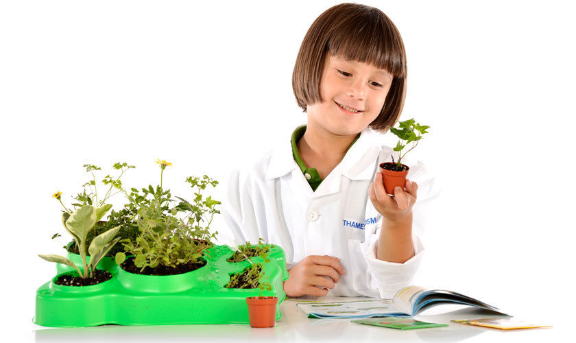 Kids First: Botany - Experimental  Greenhouse