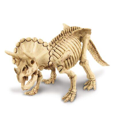 Dig a Dinosaur Skeleton Triceratops Kit