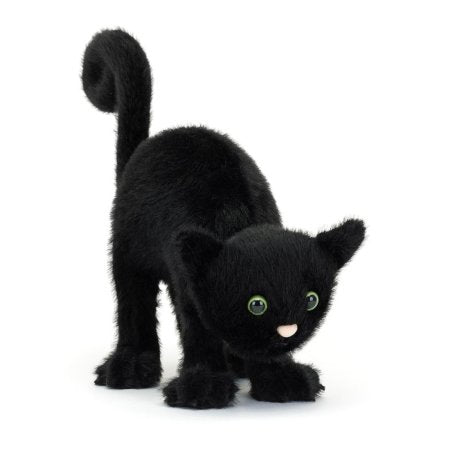 Spookipaws Cat