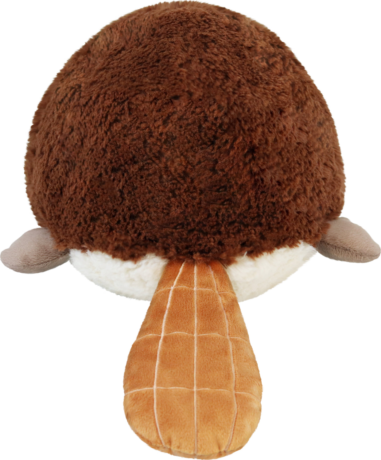 Mini Baby Platypus Squishable