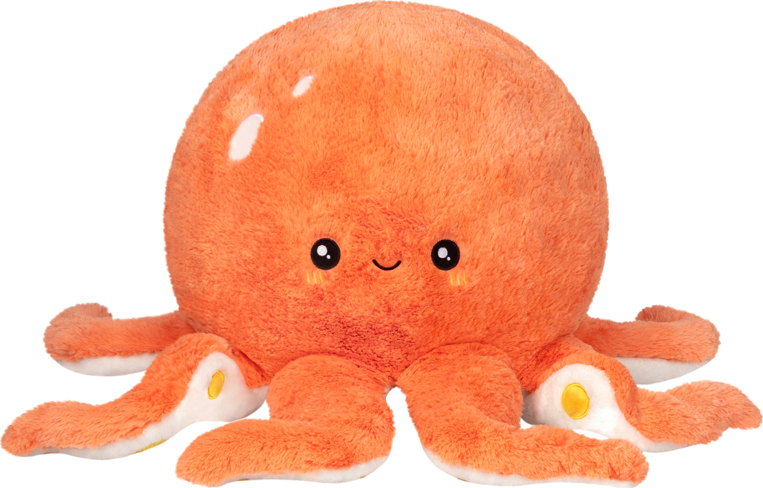 Coral Octopus