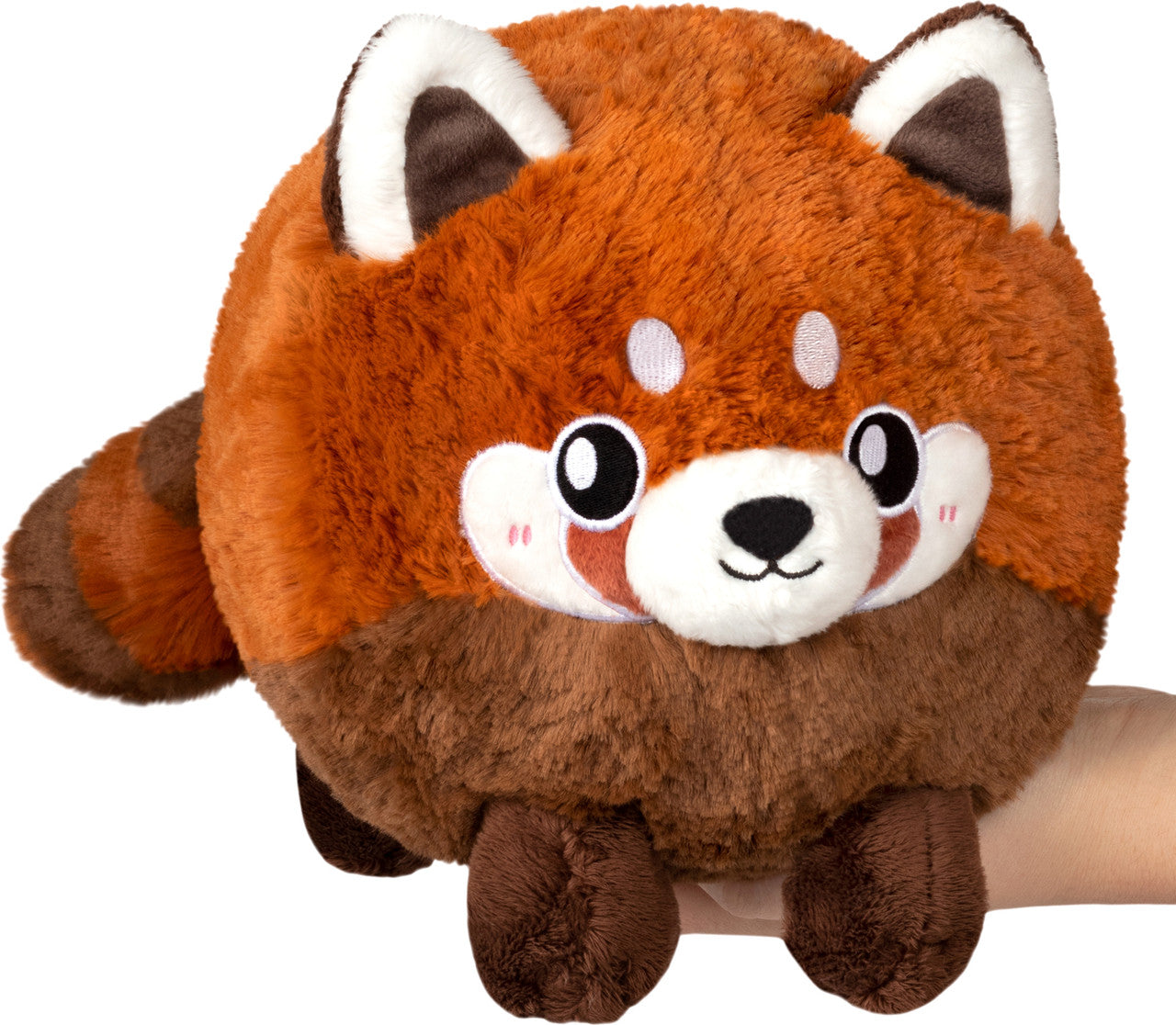 Mini Baby Red Panda