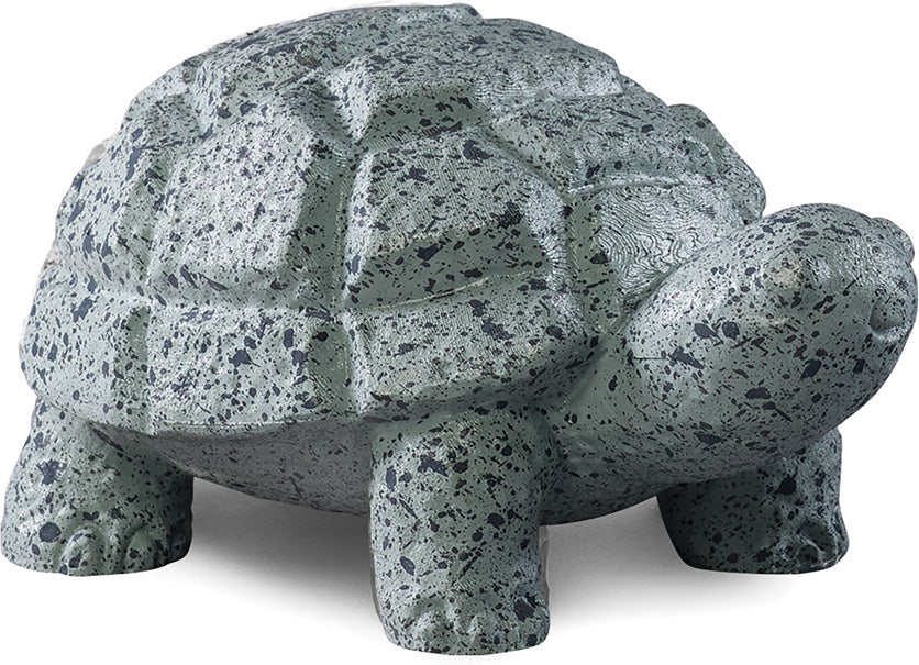 Rock Pets Turtle