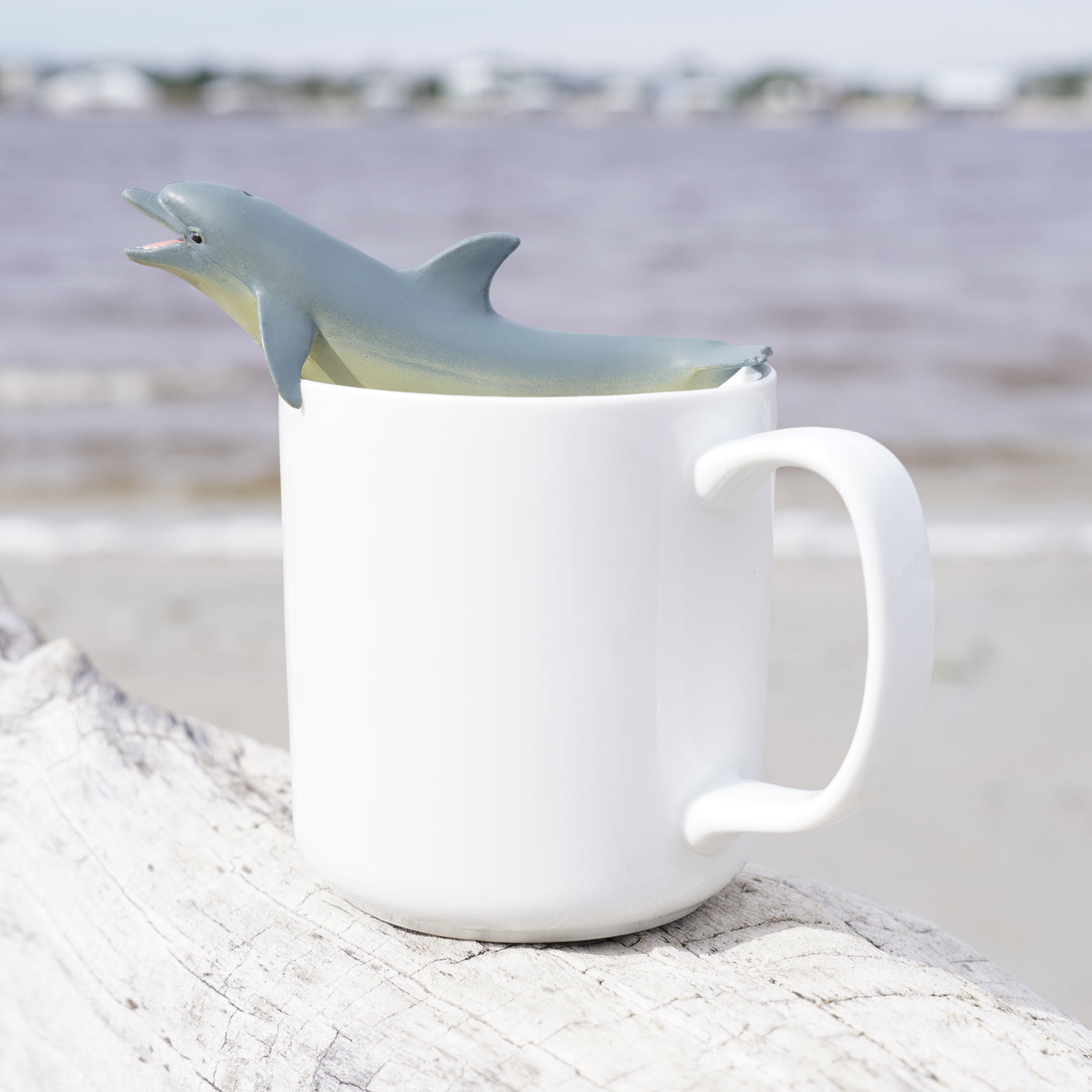 Dolphin