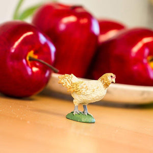 Ameraucana Chicken