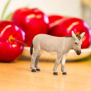 Donkey