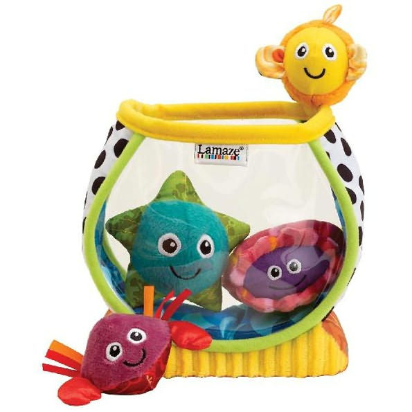 My First Fishbowl Refresh