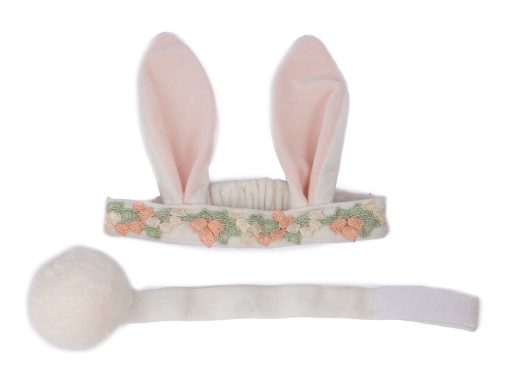 Hippity Hop Bunny Ears and Tail