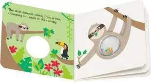 Book Ready, steady, shake: First  Animals