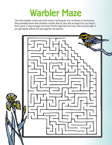 Molly Hashimotoâs Art & Nature Activity Book