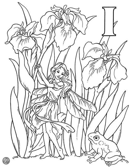 Garden Fairy Alphabet Coloring Book