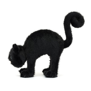 Spookipaws Cat
