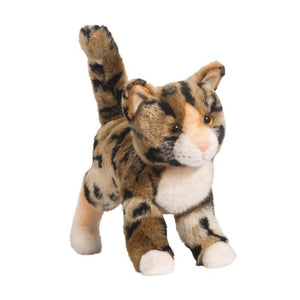 Taschette Bengal Cat