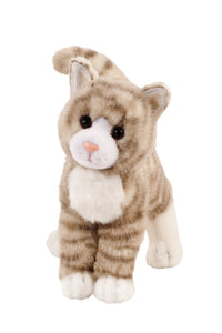 Zipper Gray Tabby