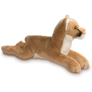Kelso Mountain Lion