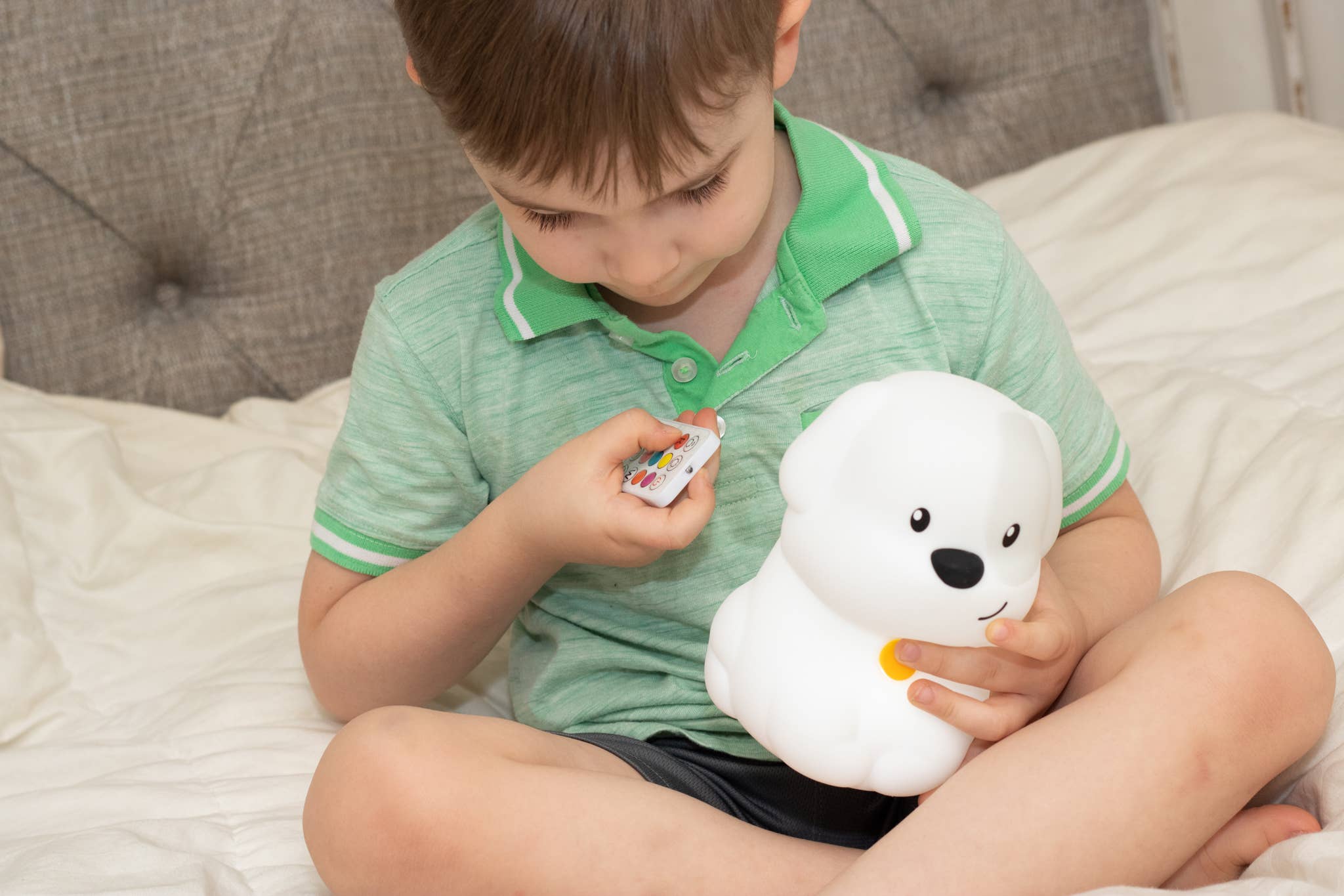Lumipets LED Dog Night Light with Remote