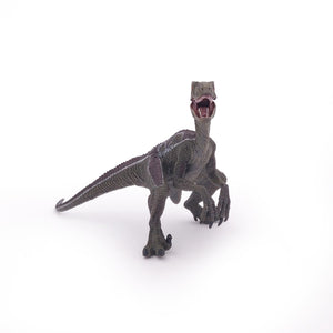 Velociraptor