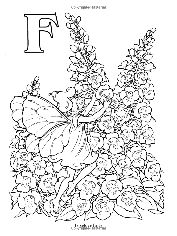 Garden Fairy Alphabet Coloring Book