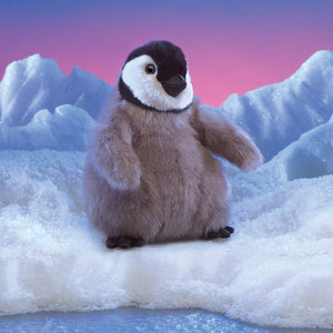 Baby Emperor Penguin