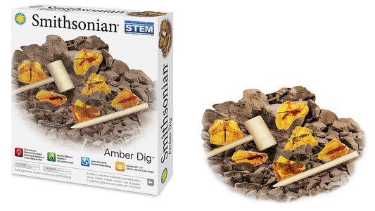 Smithsonian Amber Dig