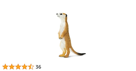 Meerkat