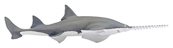 Sawfish