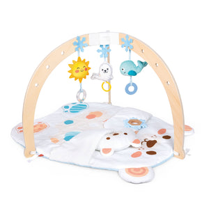 Snuggle Bear Activity Gym