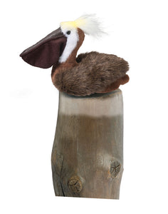 Beachy Pelican