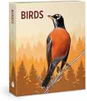 Birds Knowledge Cards