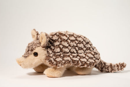Austin Armadillo