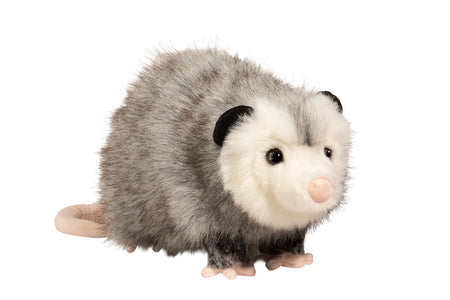 Ozzy Possum