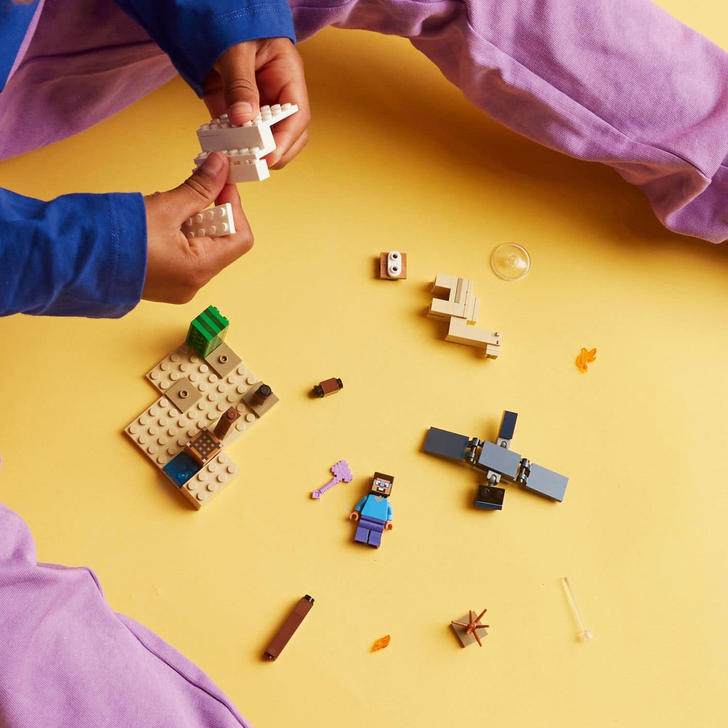 LEGO Steve's Desert Expedition