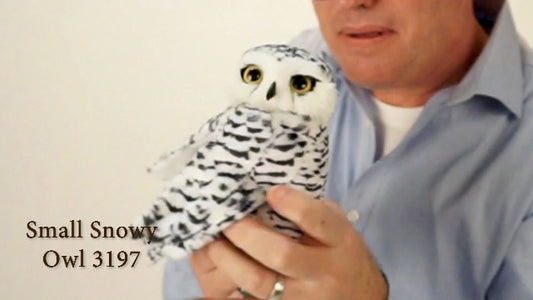 Snowy Owl Small
