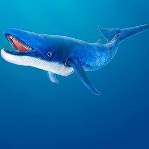 Blue Whale Puppet