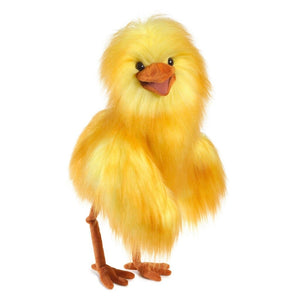 Funny Bird