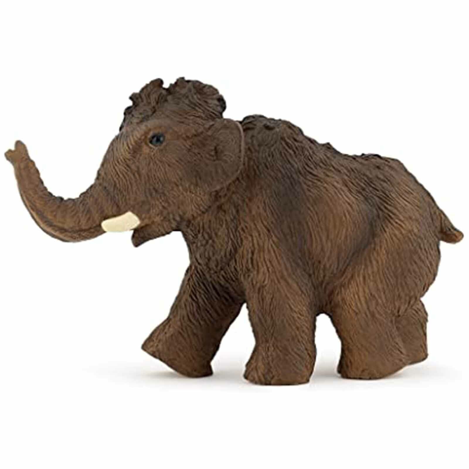 Young Mammoth