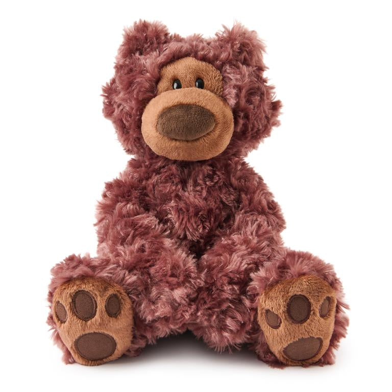 Philbin Bear, 12 in