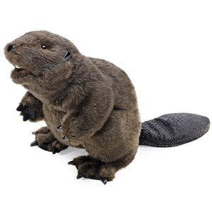 Beaver