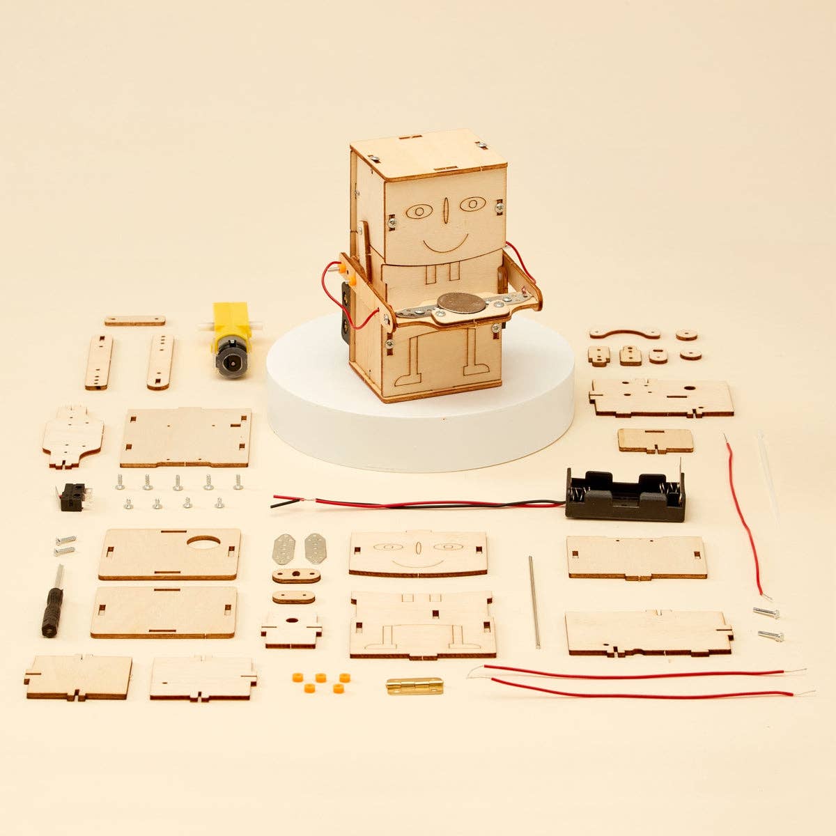 Money Bank Robot Kit
