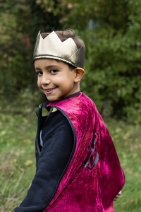 Legendary Knight Cape, Chest Plate & Crown Set