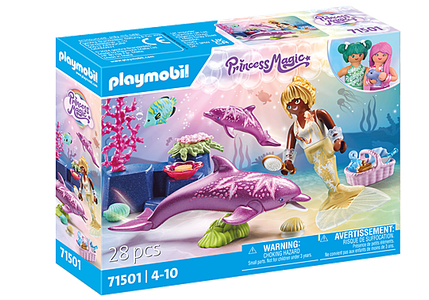 Mermaid with Dolphins