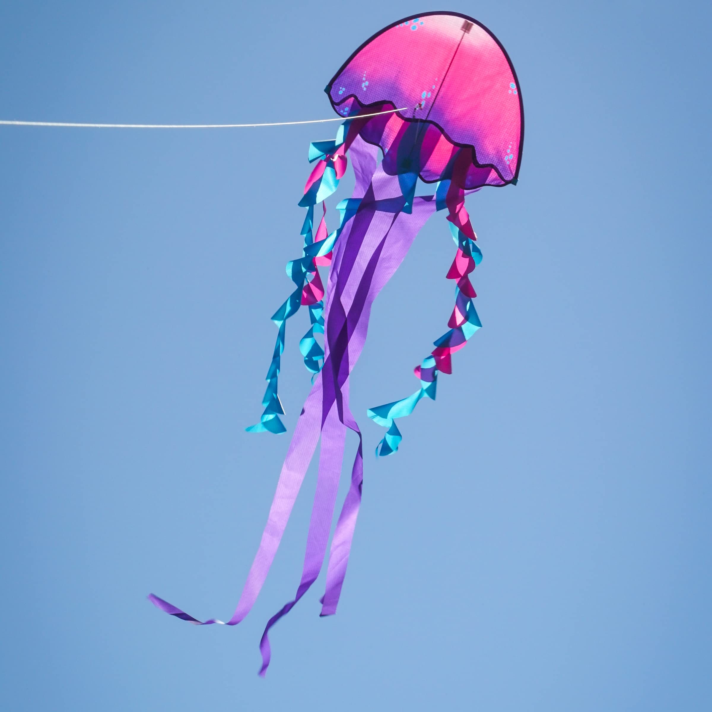 Jellyfish Dancing Dragon Kite