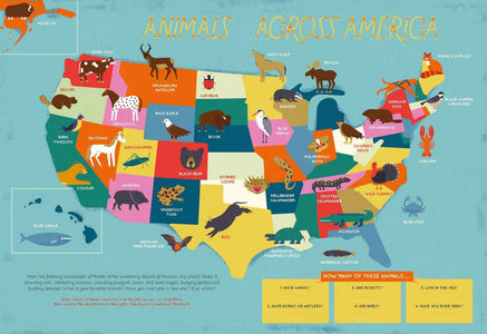 The 50 States: Activity Book