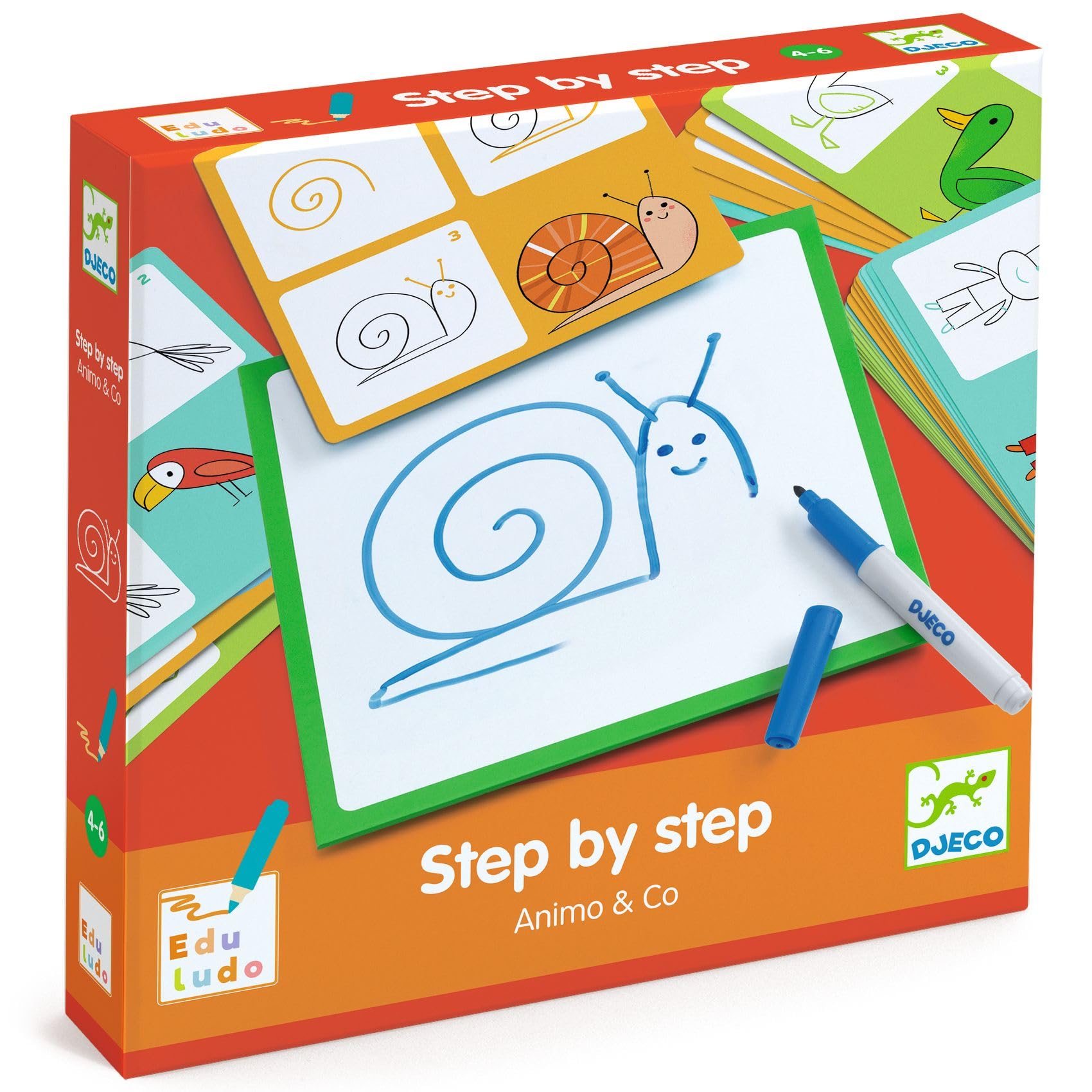 Step by Step Animo and Co