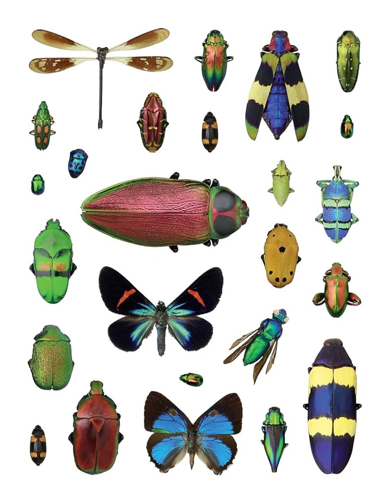 Christopher Marley's Incredible Insects Sticker Bo