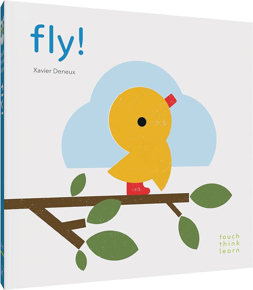ThinkTouchLearn:Fly!
